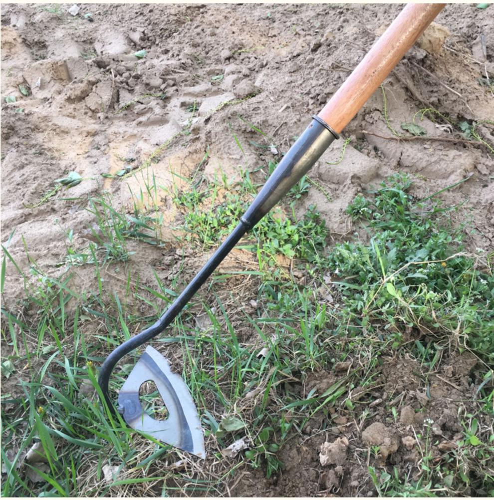 锄头全钢农用锄头除草工具特大种菜两用锄锻打园艺长柄宽锄头除草神器