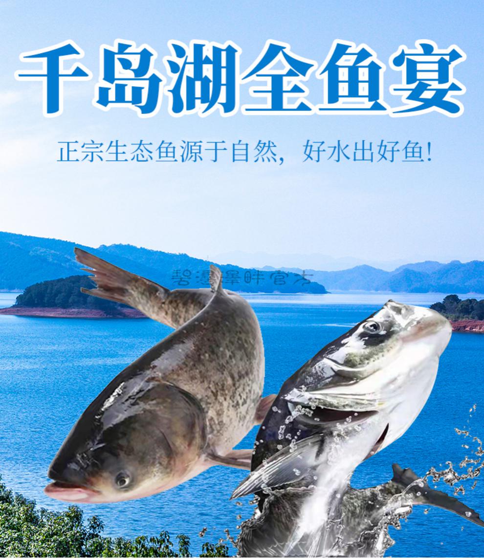 碧浔泽畔 千岛湖胖头鱼 全鱼宴 翘嘴鳊鱼鳜鱼鲈鱼鳙鱼花鲢活鱼现发