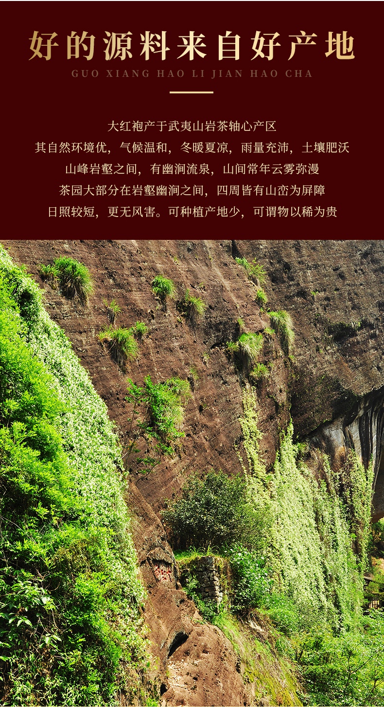 大红袍茶叶特级正宗武夷山岩茶浓香型正岩肉桂茶礼盒装500克