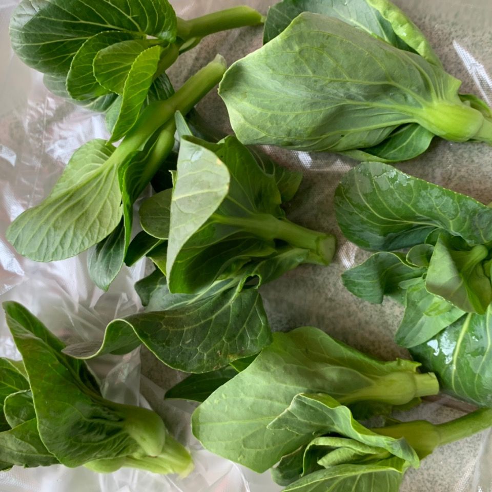 新鲜霜冻青菜苔 菜心白菜苔 甜糯嫩菜心 菜心绿色新