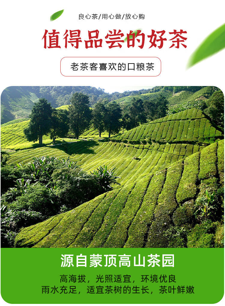 2022新茶四川蒙顶山毛峰绿茶特级浓香型高山云雾绿茶叶散装250g250g