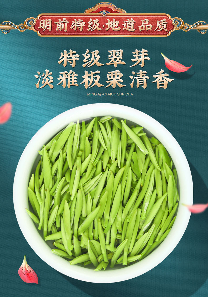 茗老汉雀舌绿茶2021新茶贵州湄潭精品翠芽明前特级嫩芽高山云雾茶叶