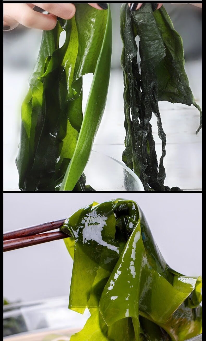 盐渍裙带菜海白菜海藻菜海带裙带菜凉拌菜麻辣烫火锅食材产地直供500g