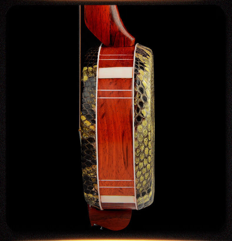 红木三弦 大中三弦小三弦拨片演奏琴 苏州民族弹拨乐器 木中三弦 盒