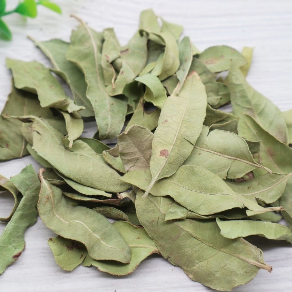 北京同仁堂原料中材 新疆精选野生纯罗麻布罗布麻叶茶叶内廷上用 官方