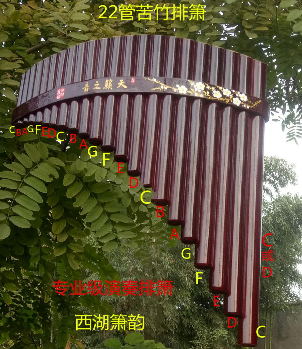 40d8c2e32cd1188e.jpg