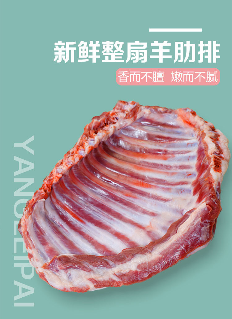 羊肋排整扇多肉新鲜原切羊肉羊排骨烧烤熬汤生鲜郎纳新威3斤羊寸排肥