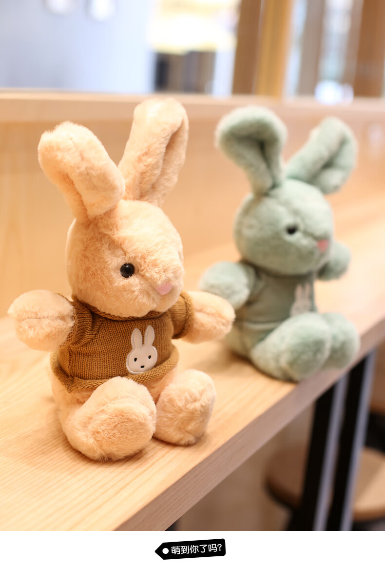 兔玩偶小兔兔毛绒玩具安抚兔布娃娃送女友生日礼物 蓝色毛衣(蓝兔) 50