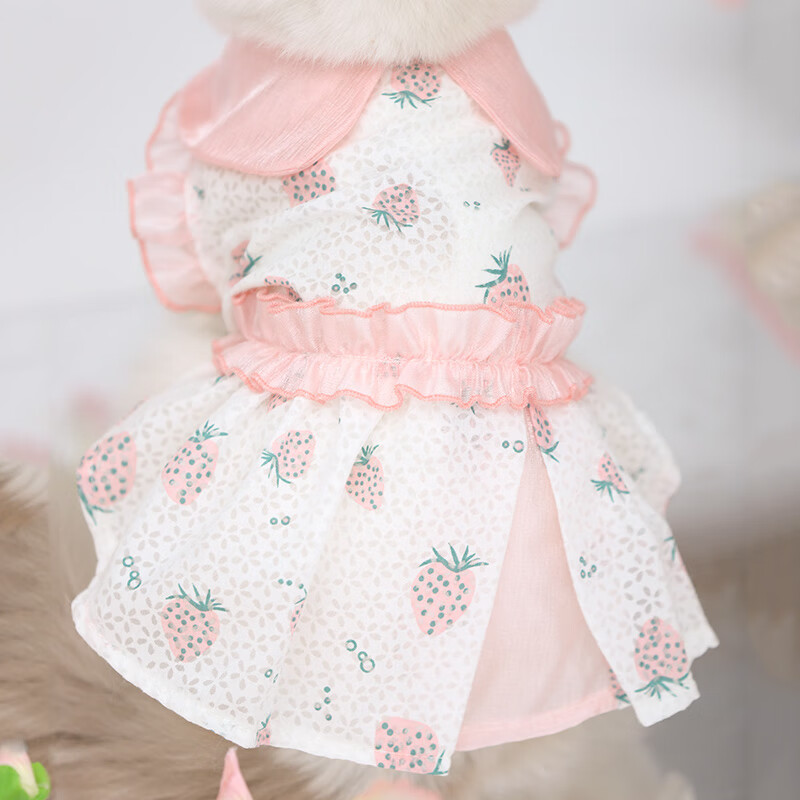 猫咪衣服裙子可爱宠物布偶猫猫薄款防掉毛无袖夏季小猫幼猫公主裙