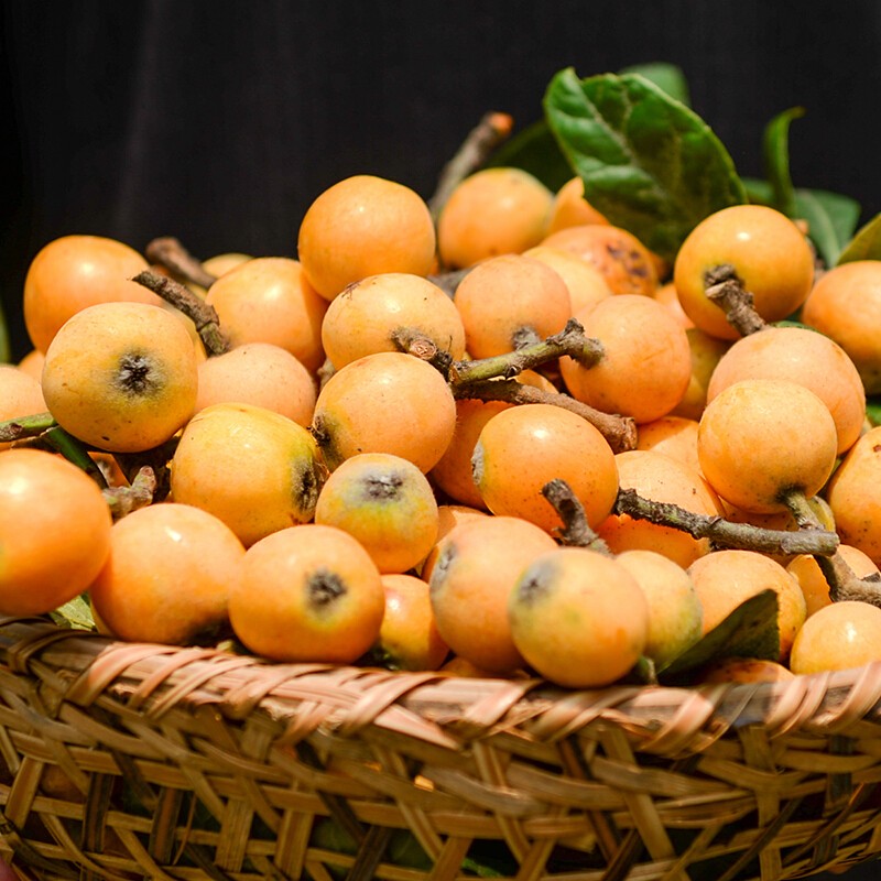 时染(shiran)重庆合川古楼枇杷当季现摘现发新鲜土枇杷精品大果5斤