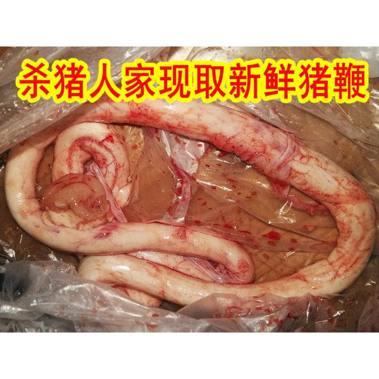 年货节猪鞭x2斤散养公猪猪鞭自家养猪猪鞭新猪鞭新鲜猪鞭冰袋发货2斤