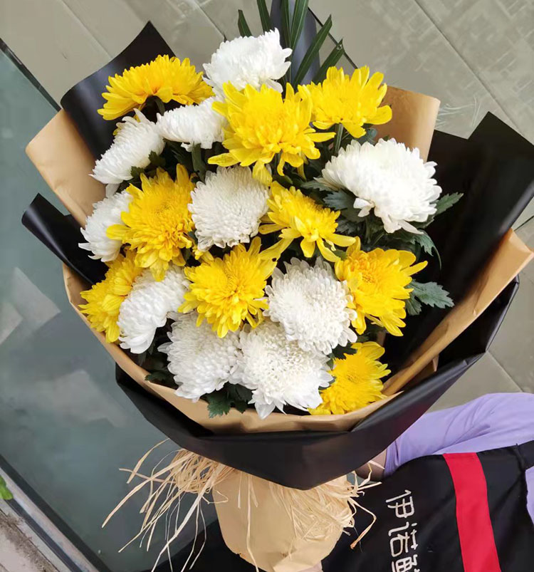 钰尚清明节扫墓送花菊花北京上海天津广州同城黄菊白菊花束鲜花 5只白