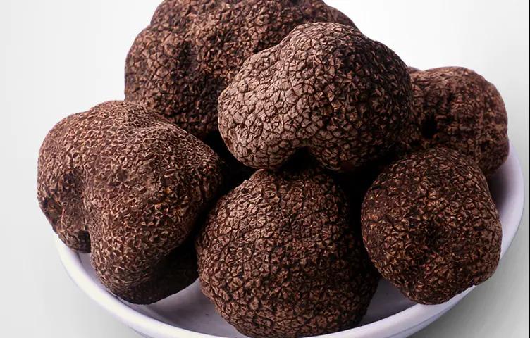 四川会东特产新鲜湿松露500g黑松露菌现货新鲜松露野生块菌黑色34厘米