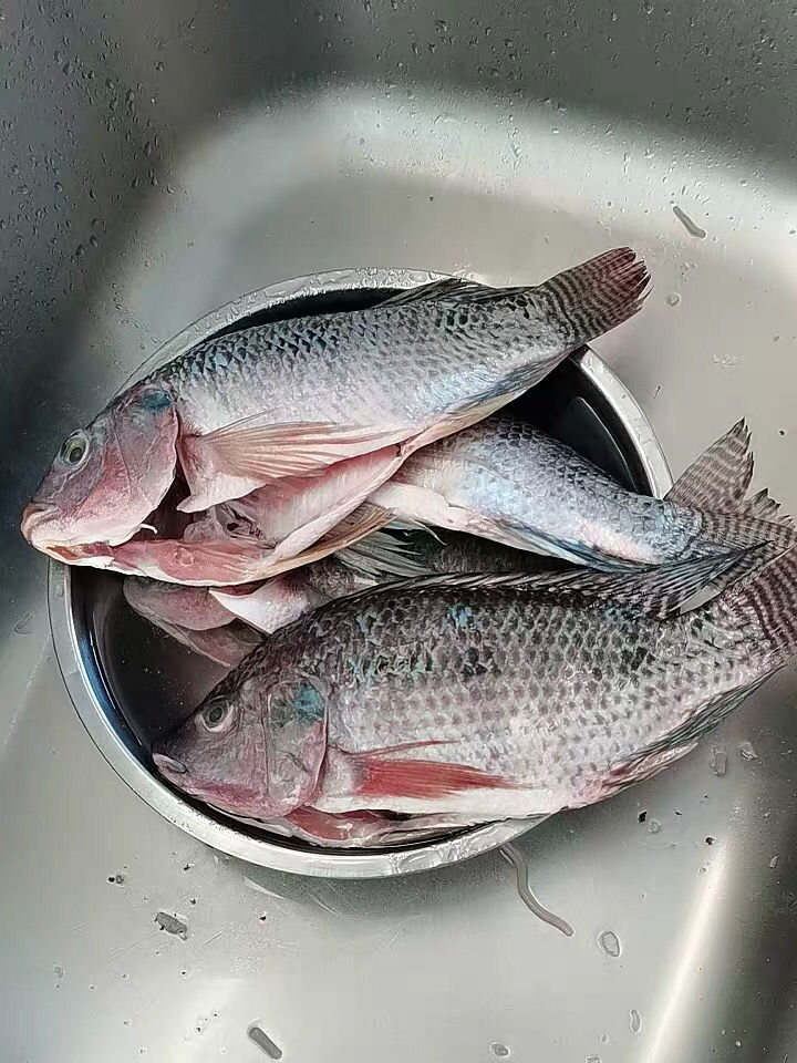 罗鱼新鲜鲜活现杀冷冻罗飞脆肉腌制福寿鱼 3-4条(总重1.8-2.