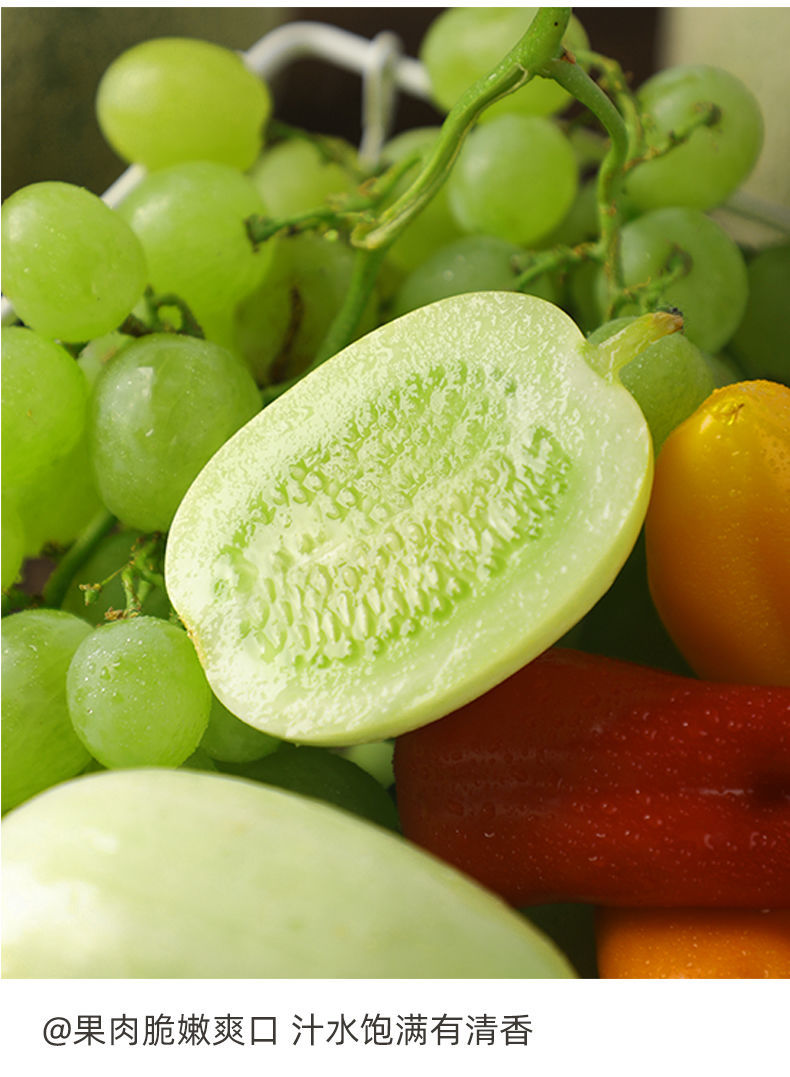 现摘农家自种金童玉女瓜新鲜拇指水果小黄瓜孕妇生吃黄瓜清脆爽口金童