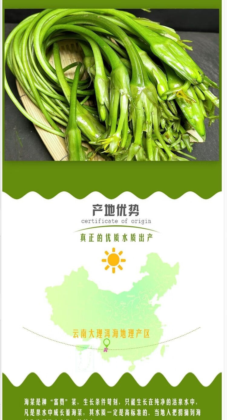 云南特产水性扬花洱海菜特色新鲜蔬菜菜大理海菜花1斤装