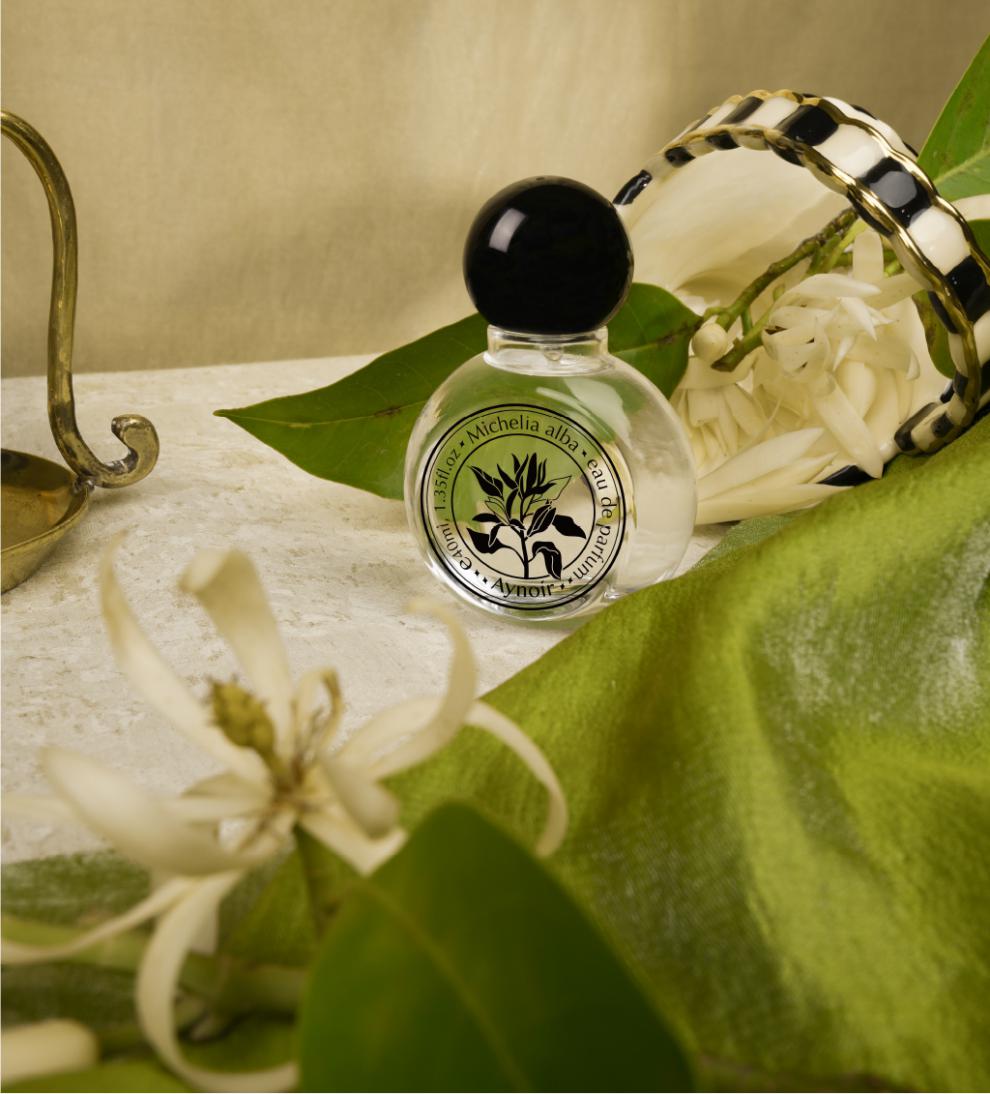 aynoir白兰花香水女士黄角兰黄果兰黄桷兰持久清新缅桂花淡香水40ml圆