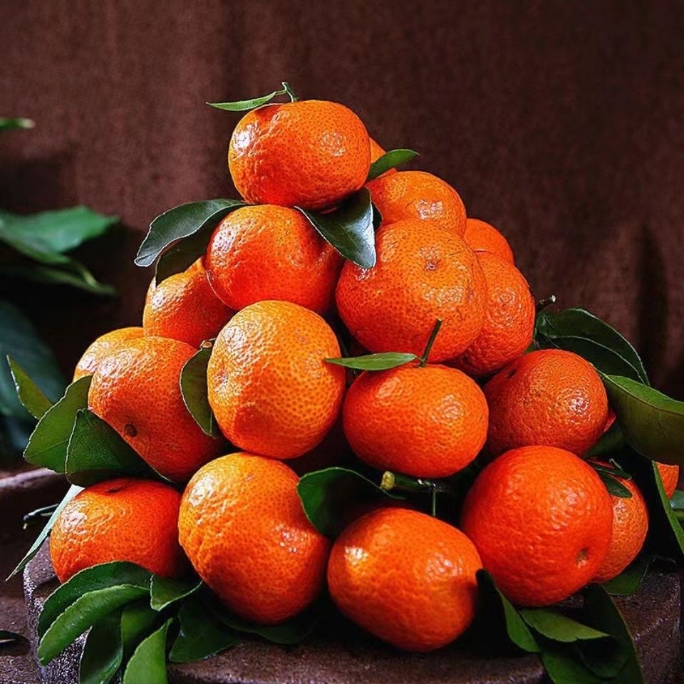 薄皮超甜贡桔新鲜水果应季沙糖桔小橘子南丰小桔10斤礼盒装超甜老树果