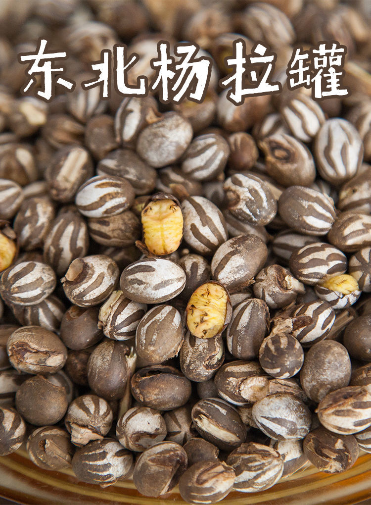 溪味道杨拉罐250g刺蛾洋辣子罐蛋蜜袋坦克虫羊喇活体美味昆虫蚕蛹 250