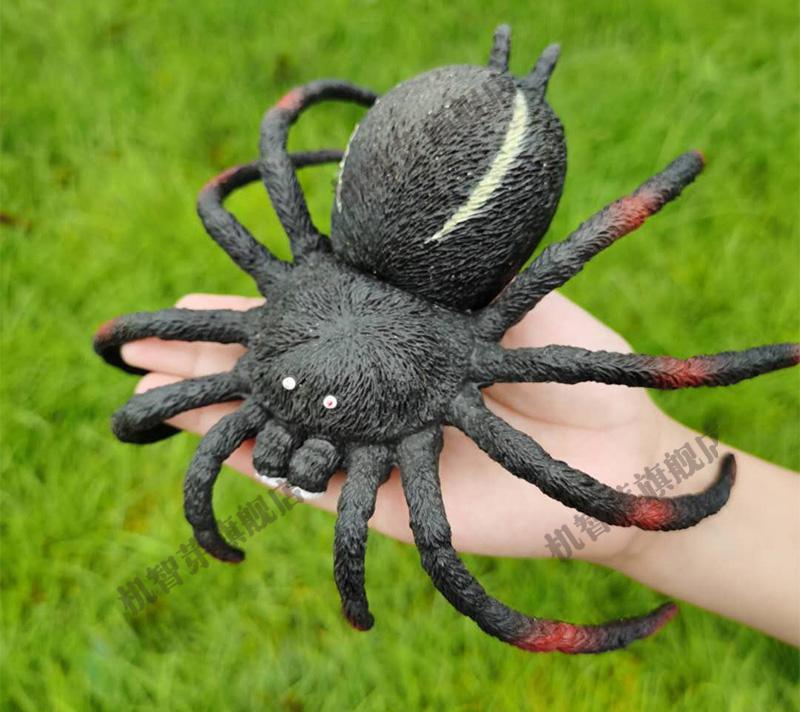 仿真大号蜘蛛模型塑胶静态蛛狼蛛蝎子万圣节吓人整蛊玩具摆件 大号