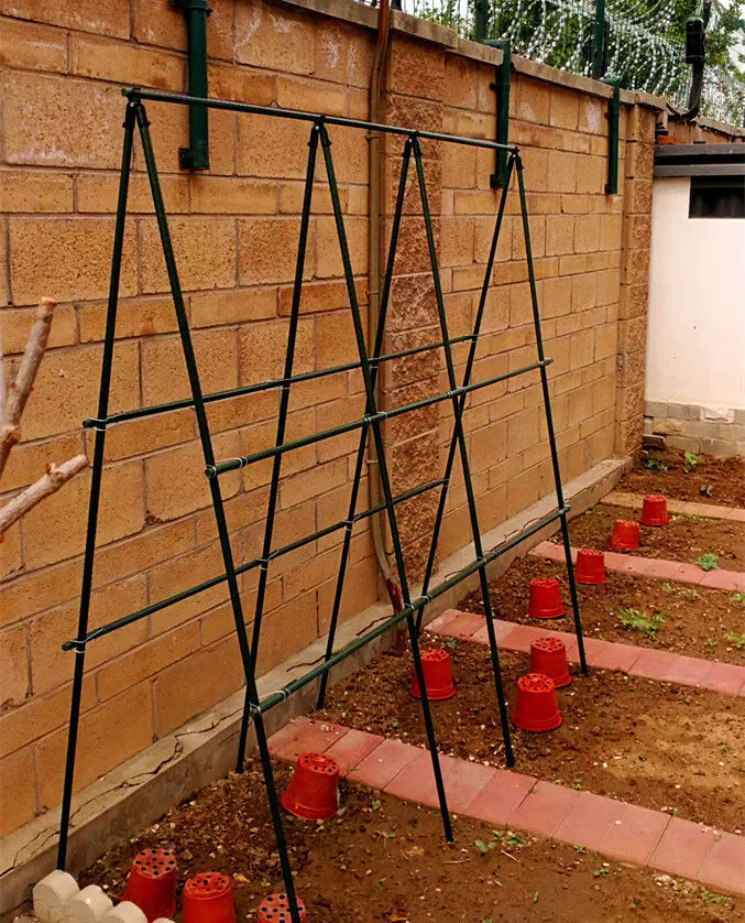 丝瓜棚架子葡萄架黄瓜丝瓜豆角西红柿百香果猕猴桃苦瓜葫芦架暖棚月季