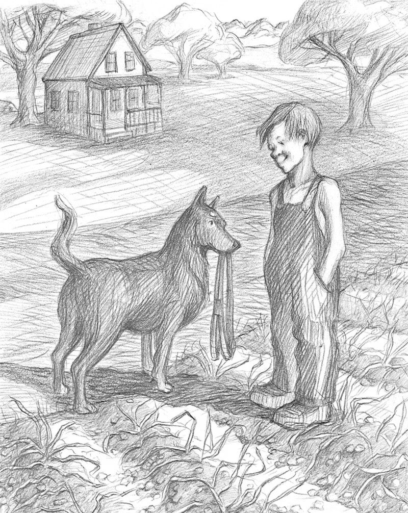 大奖小说注音版(20册)