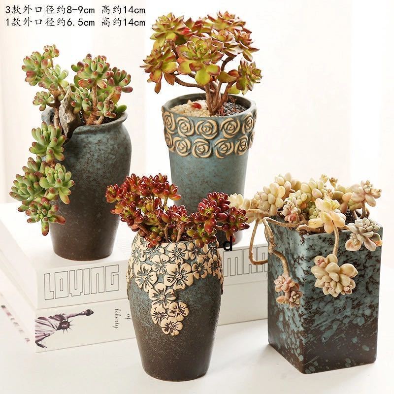 多肉花盆大号多肉植物陶瓷花盆小肉肉盆大口径个性花盆陶瓷fj随机六个
