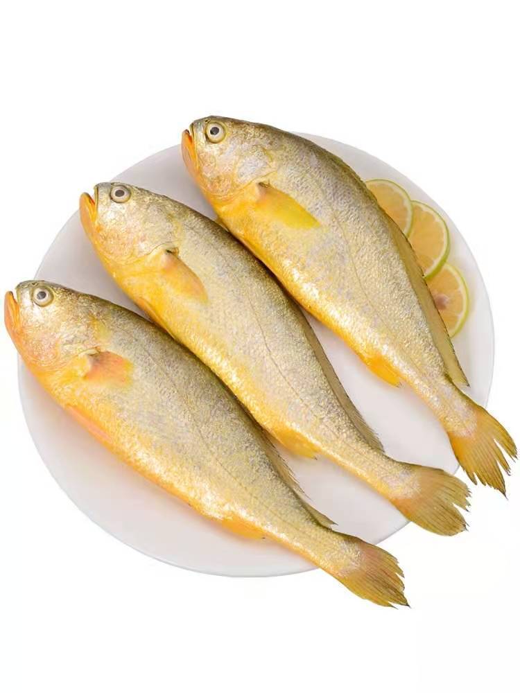 黄花鱼黄花鱼新鲜海捕小黄花鱼纯黄花鱼东海舟山大黄花鱼6斤装56条斤