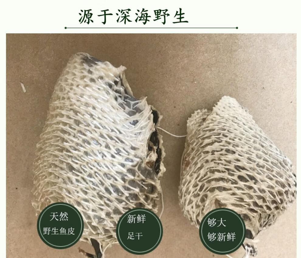 洪僖侨 大号刺龟 鱼皮海豚 海胆刺豚皮 海刺鱼 北海海产干货 海鱼干