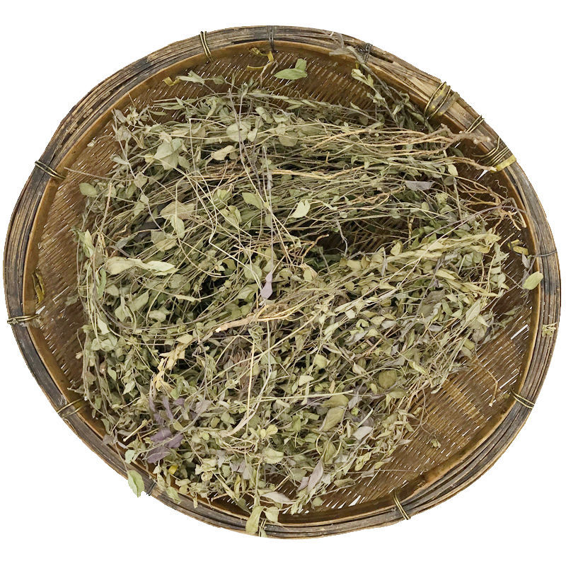 来马回 瓜子金草干品乱马回辰砂草二月花惊风草野中草药 来马回500克