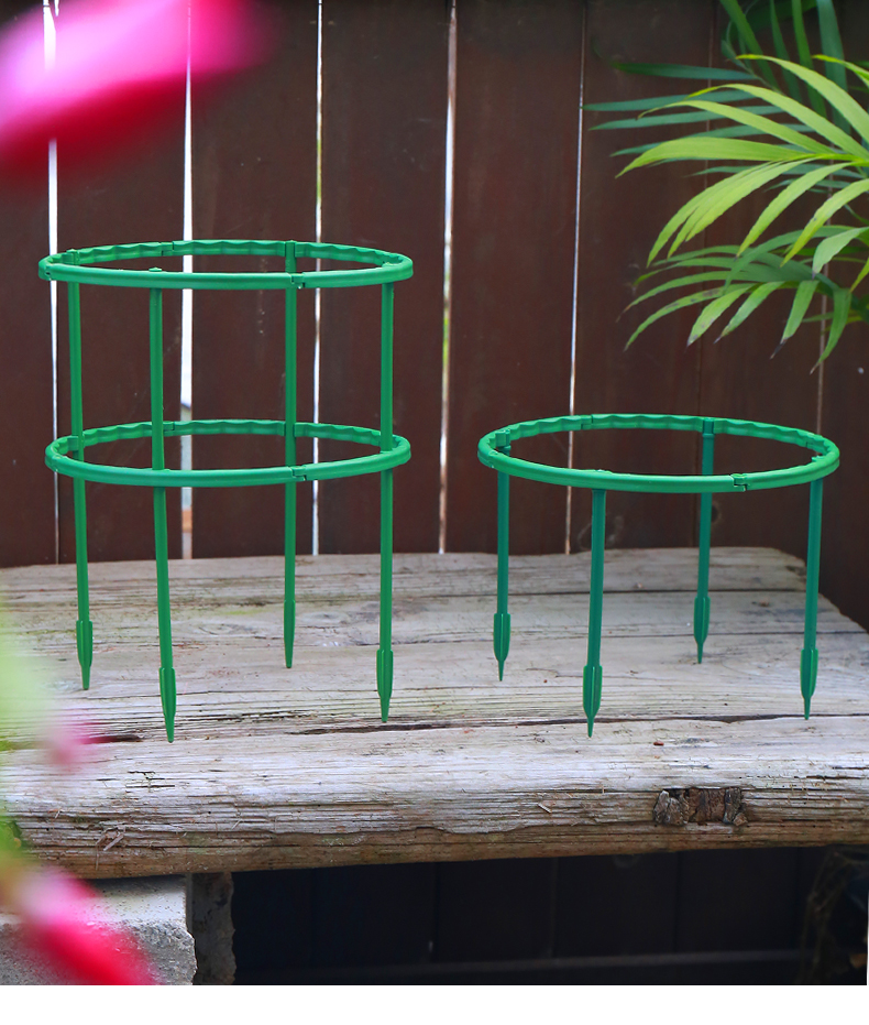 蟹爪兰支架蟹爪兰专用支架多肉太阳花支撑防倒伏可拼接盆栽花卉护叶