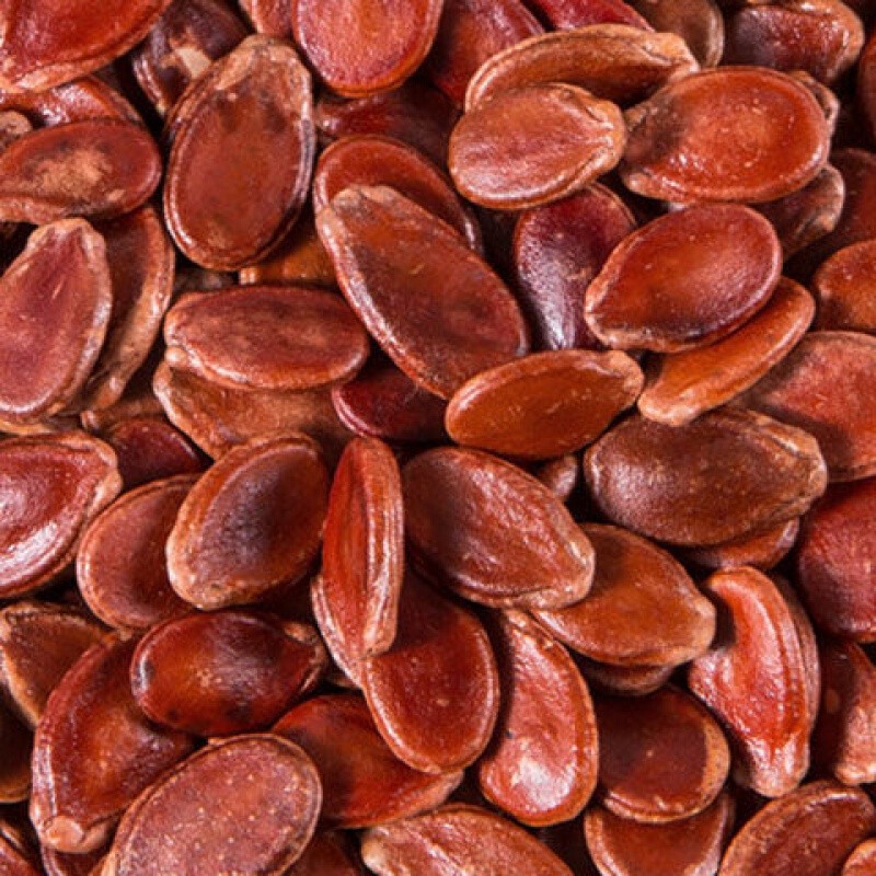 京优选天虹牌红瓜子天虹牌大片红瓜子原味黑西瓜子坚果干果炒货办公