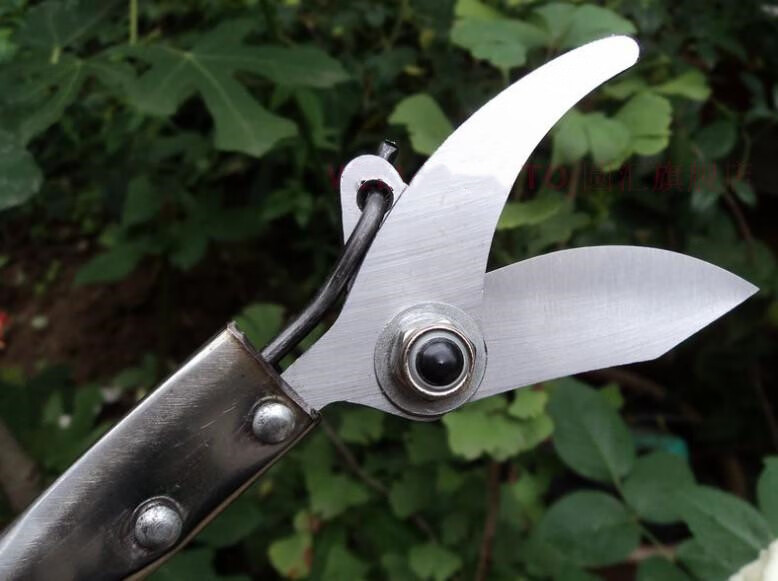 sk5果树修枝高枝剪刀专用加长不锈钢手工高空剪园林神器德国省之优2米