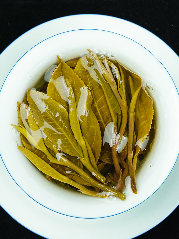 古寨春 【周年庆典】2021年春茶 好茶 整件囤 神山圣水4提7140g 1785g