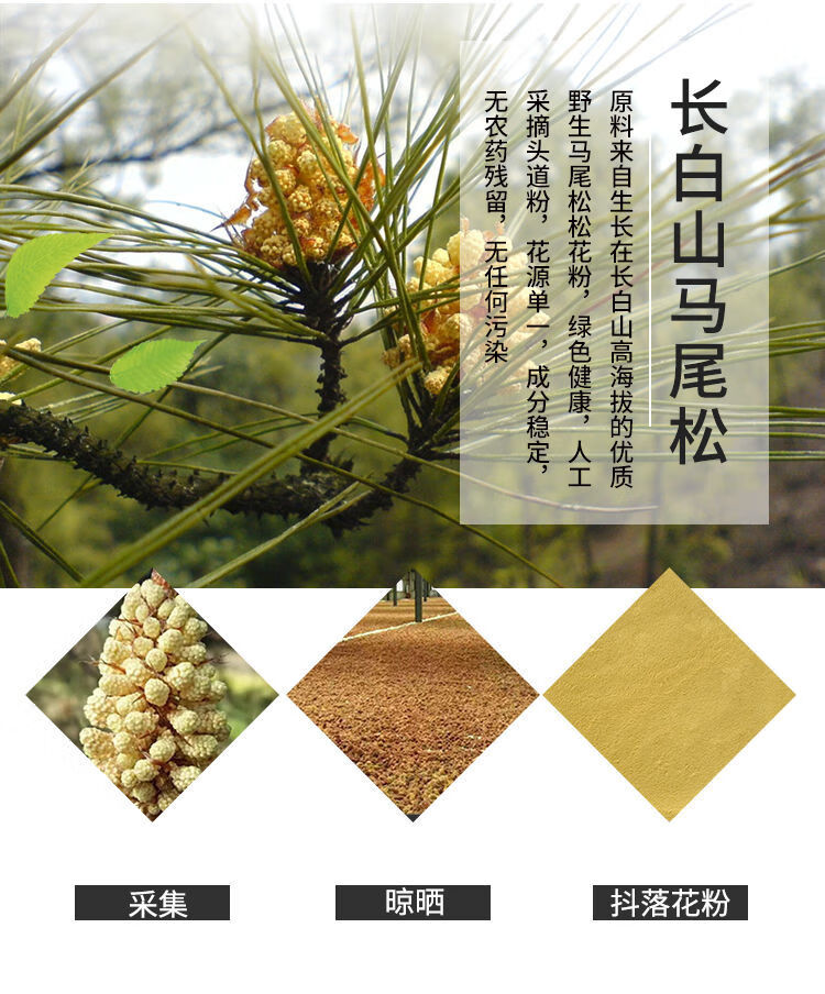 长白山纯松花粉油松松花粉原粉正宗马尾松松粉原粉500克