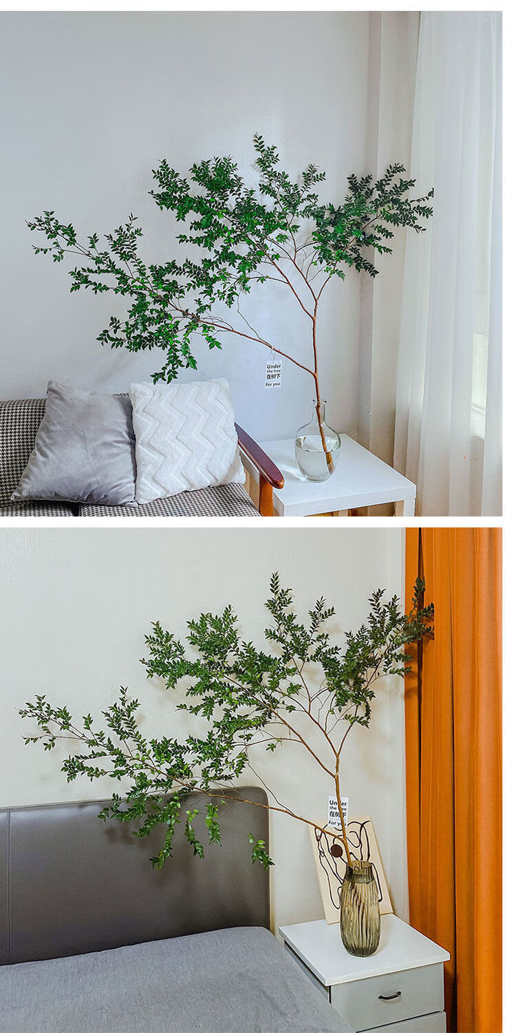 美男树懒人水培植物平替进口马醉木日本吊钟客厅绿植量大联系客服5060