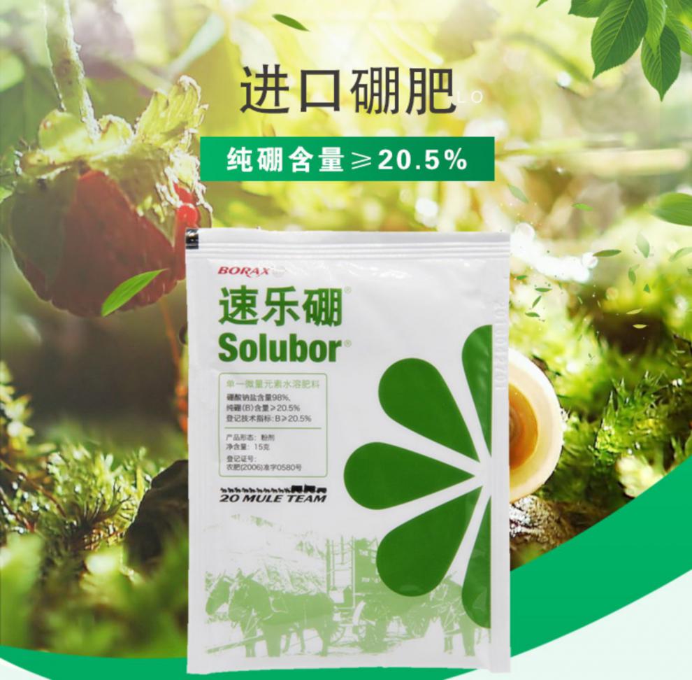 进口速乐硼98%高纯度硼肥植物花卉保花保果硼肥水溶叶面肥 15g