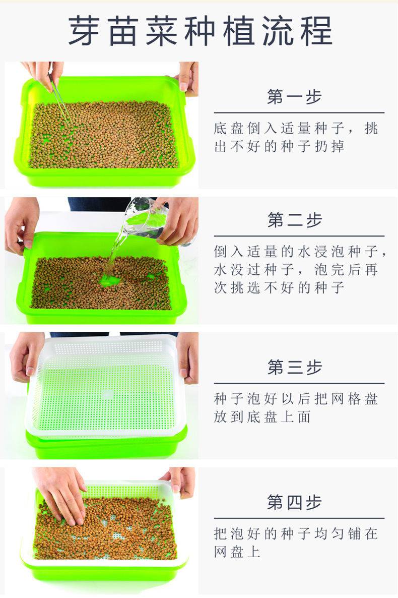 芽苗菜种籽豆芽菜豆苗豆芽豌豆小麦无土栽培水培蔬菜种子纸上种菜