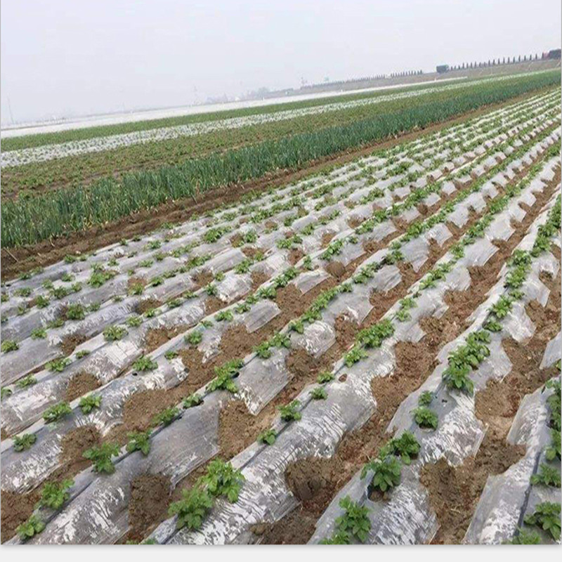 地膜农用白膜塑料薄膜透明家用加厚草布双色种菜果树整卷白白色06米宽