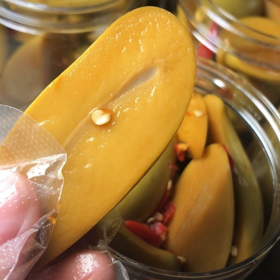广西南宁酸辣芒果每罐250g装生吃酸嘢腌制四季青芒孕妇时令横州市酸辣
