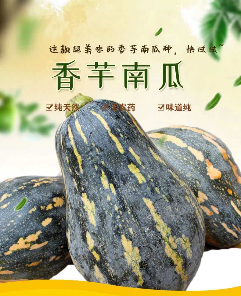 正宗香芋南瓜新鲜粉嫩甜糯香芋味老小南瓜香芋南瓜253斤