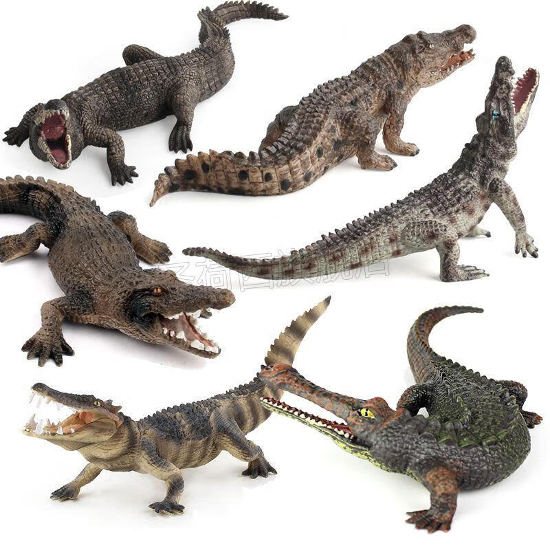 【官方旗舰】小鳄鱼宠物仿真鳄鱼模型野生动物玩具尼罗鳄扬子鳄野猪鳄