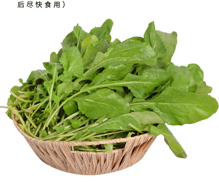东北新鲜臭菜500g蘸酱小菜农家自种新鲜蔬菜大叶臭菜1000g
