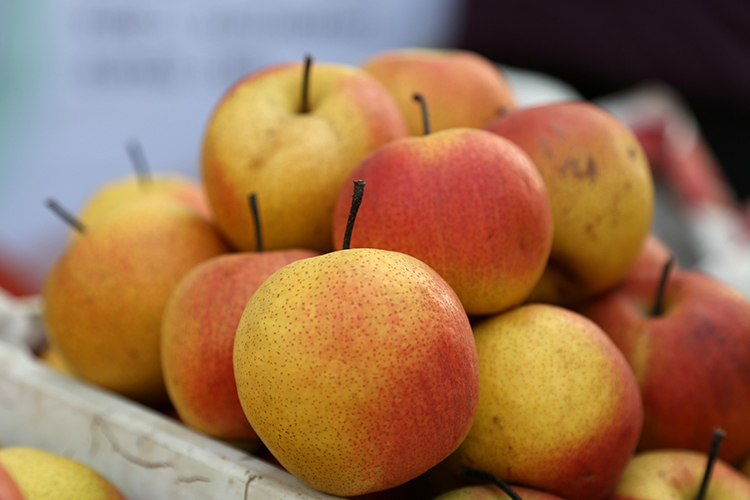 【不打烊】什谷丰 平谷直发 红肖梨 北京红梨 新鲜水果 甜酸爽口 2kg