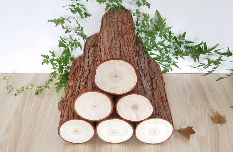 原生态小木桩围栏木头栅栏壁炉木柴装饰小树桩原木摆件圆木头桩子南玖