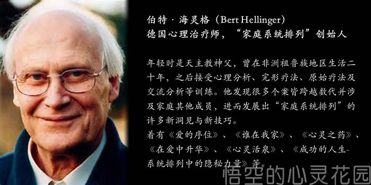 海灵格家庭排列12册 谁在我家 爱的序位 在爱中升华 心灵活泉 心灵之