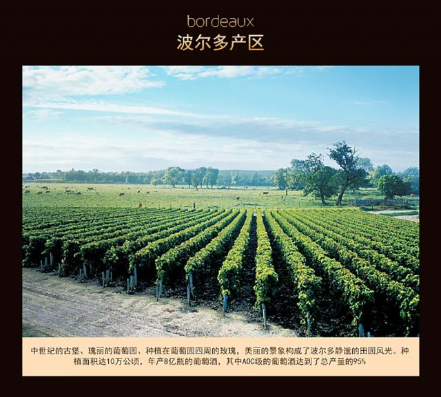 1855列级庄四级庄 法国龙船进口红酒 龙船庄园