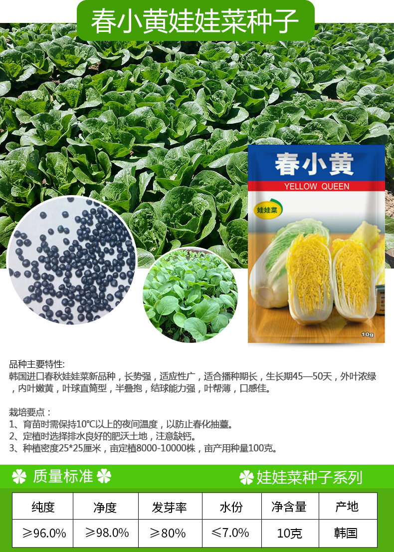 凤鸣雅世 玲珑黄娃娃菜种子黄心黄叶白菜四季播高山娃娃菜种籽蔬菜