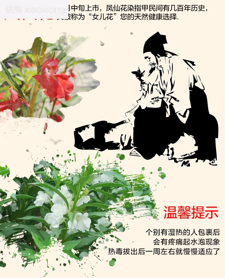 骁熊新鲜红白凤仙花花瓣泡酒打浆泡醋小桃红指甲草花染指甲50克白花