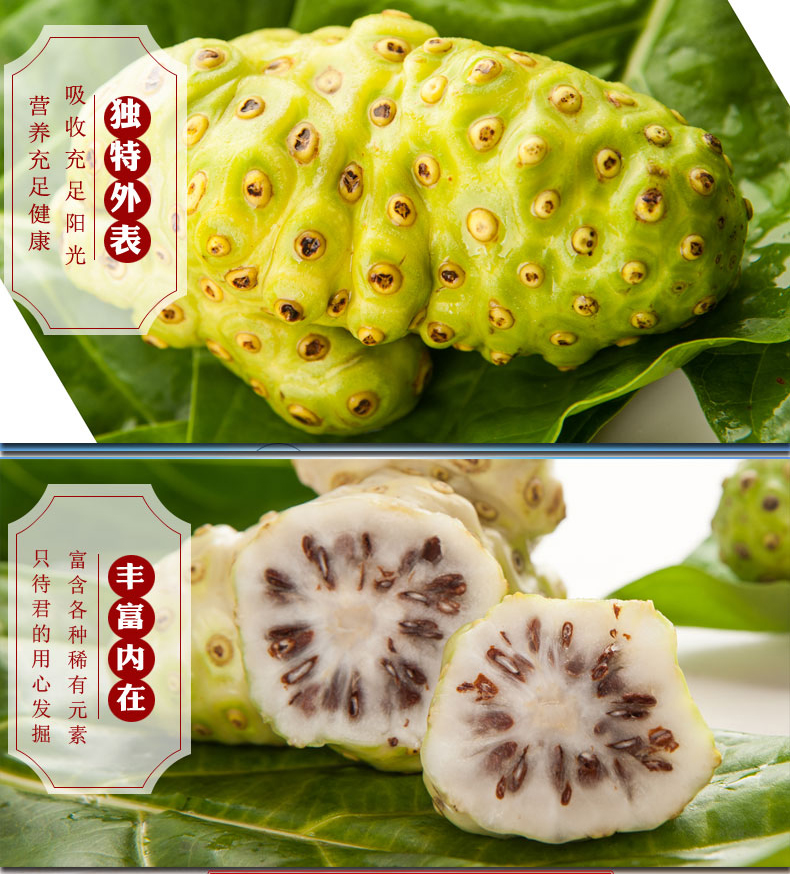 悠妃 海南诺丽果新鲜水果诺尼果5斤 酵素原料酵素果 5斤 素果 5斤